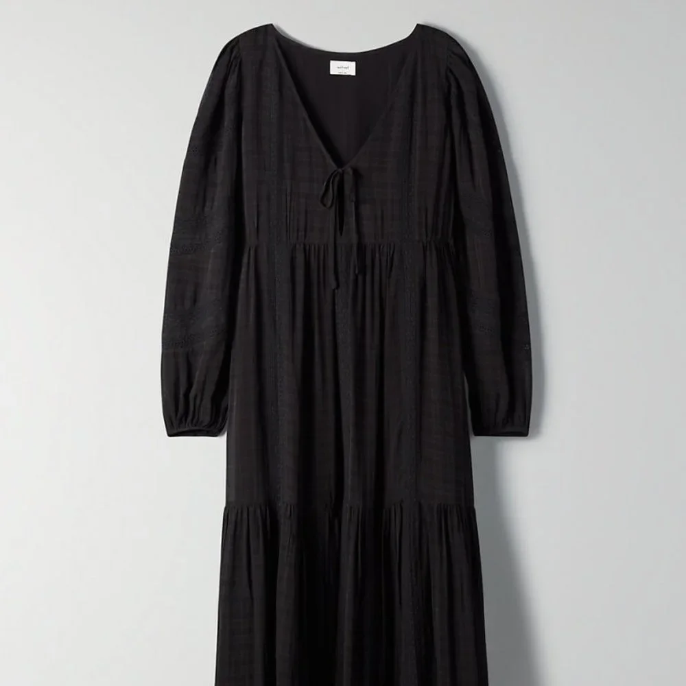 COPY - Wilfred Whimsy Dress form Aritzia - Picture 2 of 6